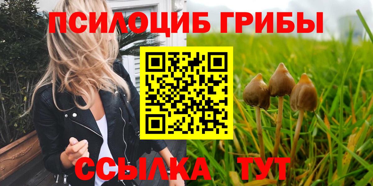 Галлюциногенные грибы GOLDEN TEACHER  Вход с VPN  Кировск  Псилоцибиновые грибы MAGIC MUSHROOMS 