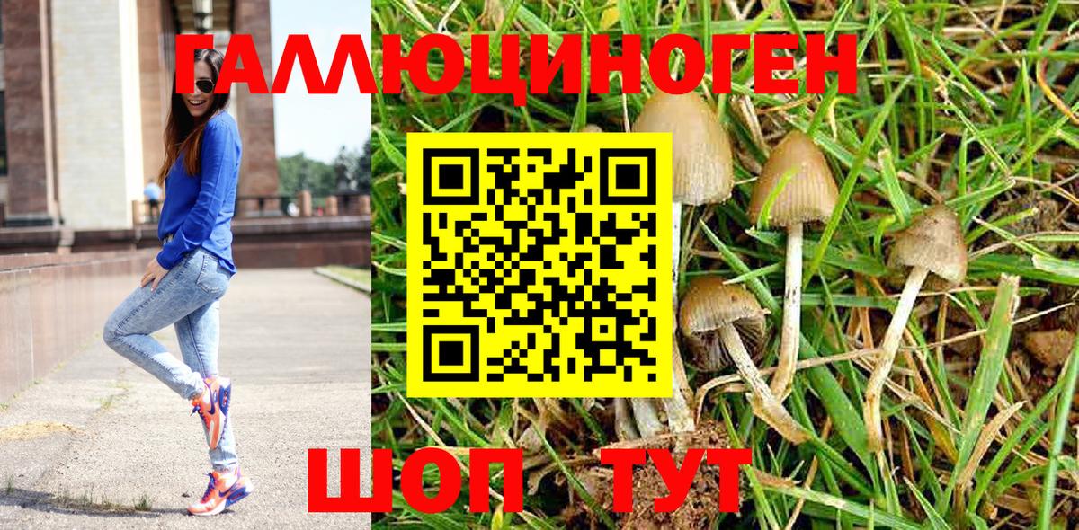 Галлюциногенные грибы GOLDEN TEACHER Кировск